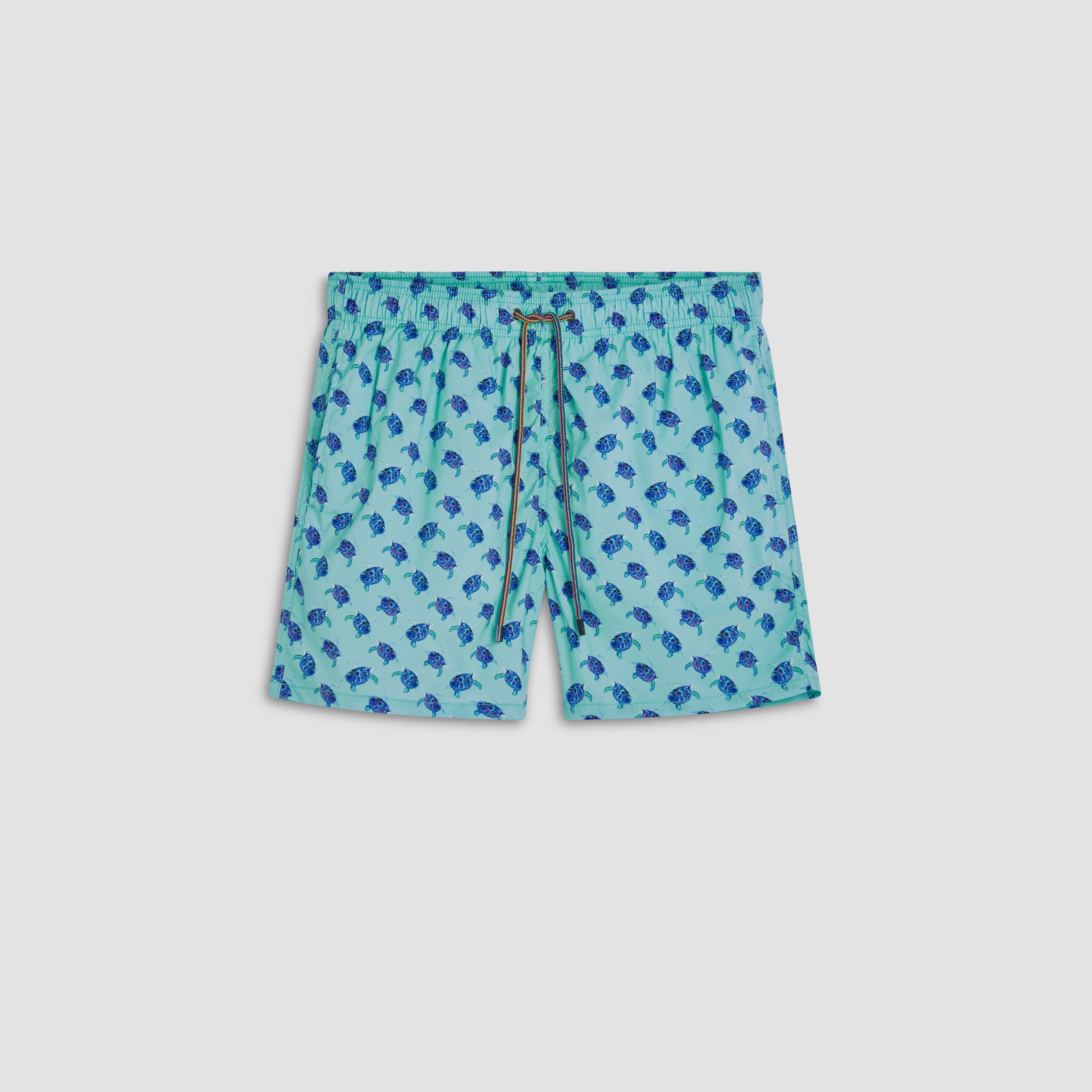 Max Sea Turtles Swim Trunks